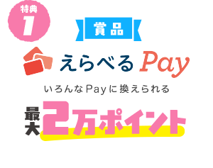 特典１　賞品　選べるpay最大2万ポイント